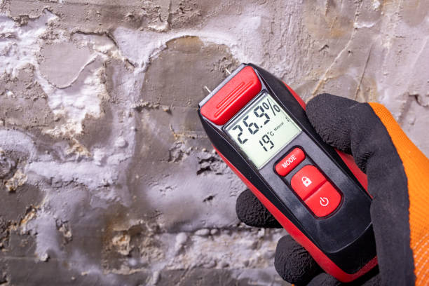 Best Health and Safety Mold Remediation in Shullsburg, WI