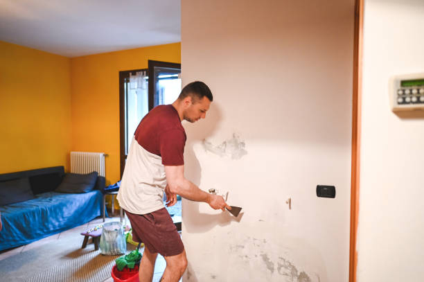Best Bathroom Mold Remediation in Shullsburg, WI